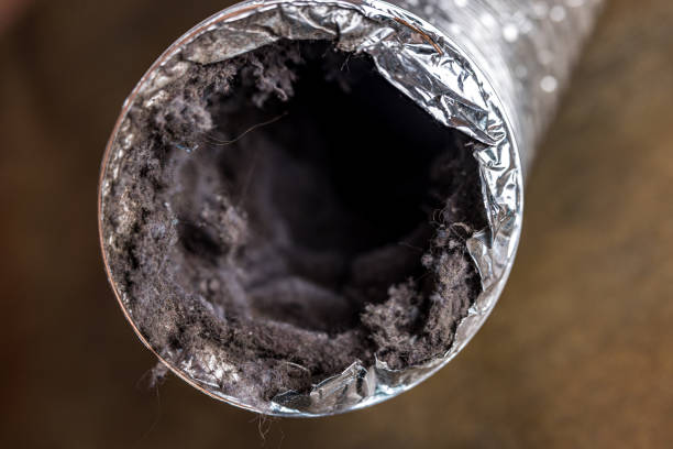 Best HVAC Duct Inspection Services  in Winona, MS