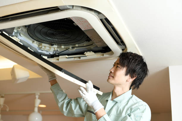 Best Local Air Duct Cleaning Services  in Winona, MS