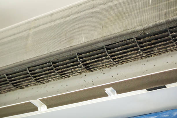 Best Ductwork Cleaning Services  in Winona, MS