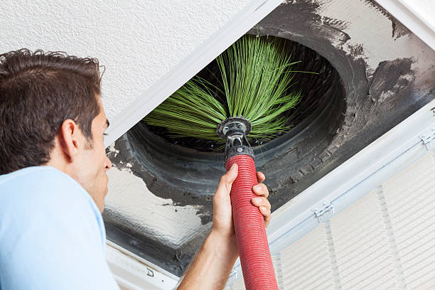Best Dryer Vent Cleaning Services  in Winona, MS